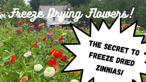 Does Freezing Flowers Preserve Them?