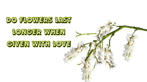 Flowers Last Longer When Given With Love