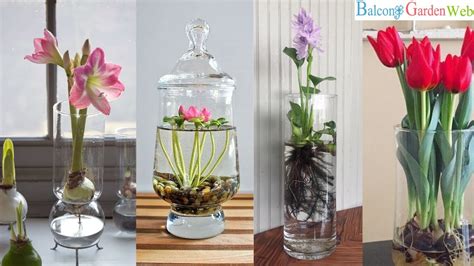 How Much Water in a Vase for Flowers? A Comprehensive Guide