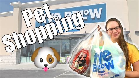 Is 5 Below Pet Friendly? Exploring the Boundaries of Retail and Animal Companionship