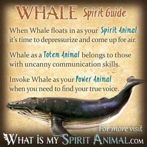 Whale Spirit Animal Meaning: Dancing with the Depths of the Soul