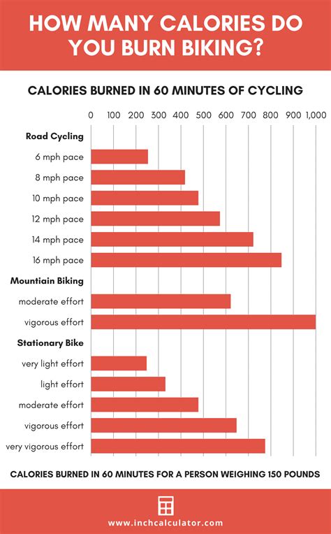 What Burns More Calories Running or Biking?